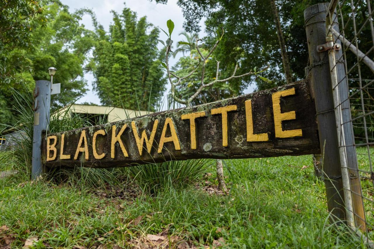 Blackwattle Farm بيرواه المظهر الخارجي الصورة