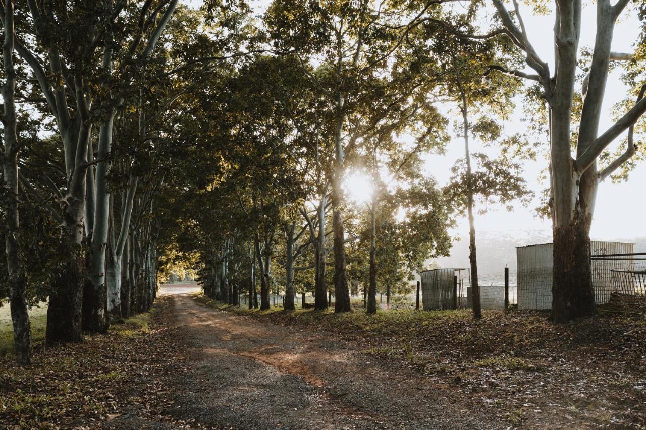 Blackwattle Farm بيرواه المظهر الخارجي الصورة