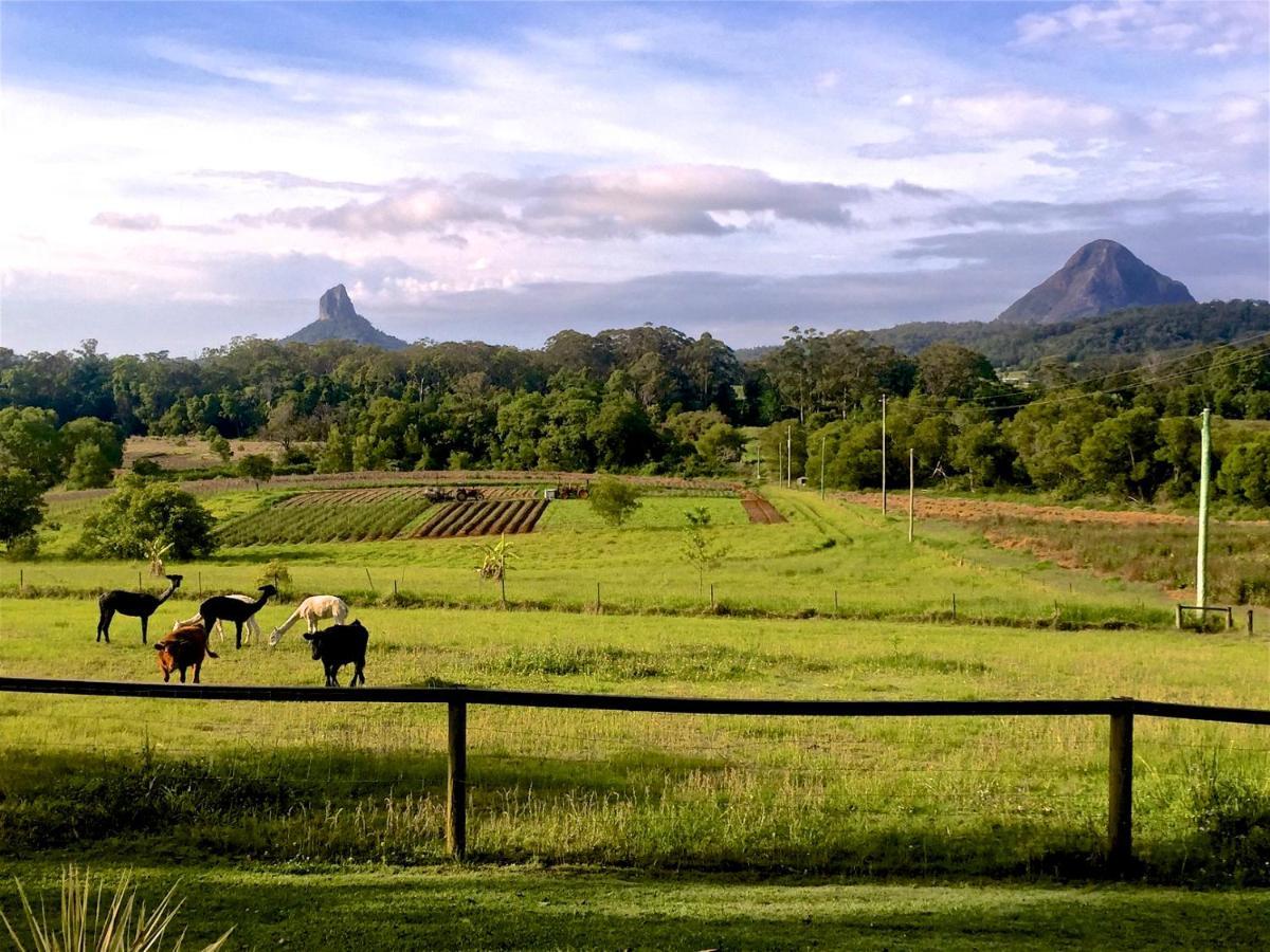 Blackwattle Farm بيرواه الغرفة الصورة