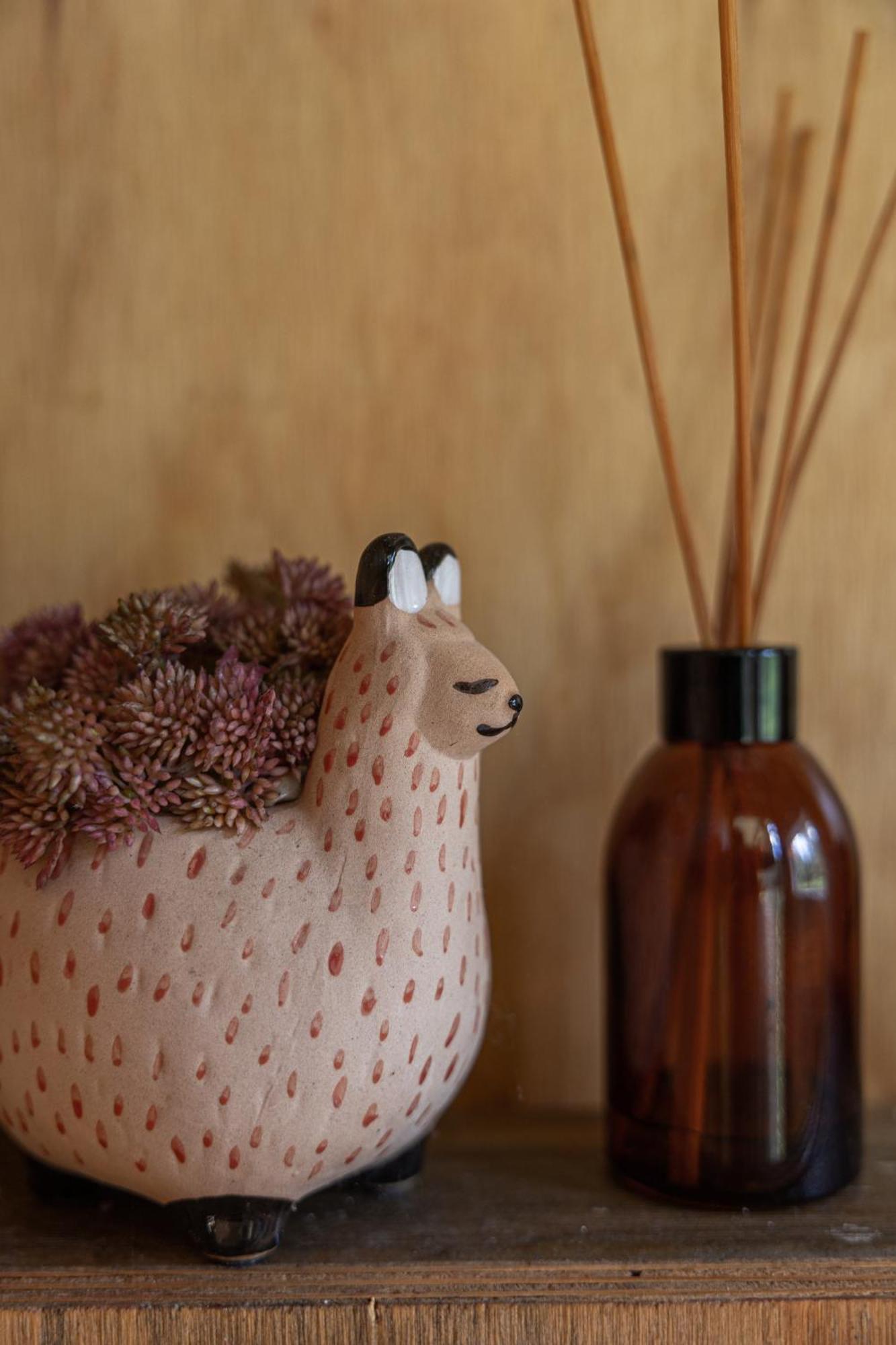 Blackwattle Farm بيرواه الغرفة الصورة